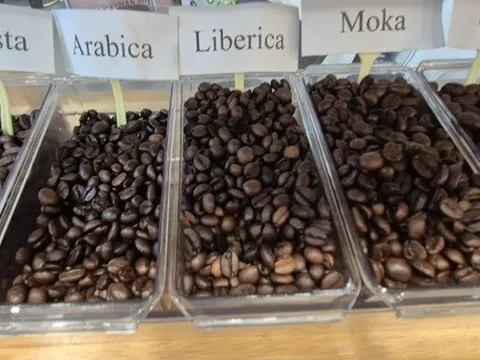 Giá cà phê hôm nay 26-11: Tăng 3 con số trở lại