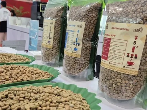 Giá cà phê hôm nay 28-11: Tăng trở lại, Malaysia mê cà phê Việt