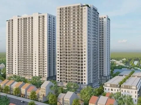 Danh tính chủ đầu tư loạt dự án nhà ở xã hội vừa bị Thanh tra Hải Phòng 'gọi tên'?