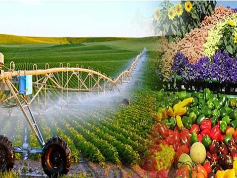 Sửa Luật Thuế GTGT: Khơi thông hoàn thuế, giảm áp lực vốn cho nông nghiệp và xuất khẩu