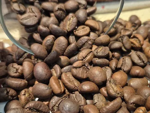 Giá cà phê hôm nay 5-12: Cắt mạch giảm và tin tốt ở thị trường số 1