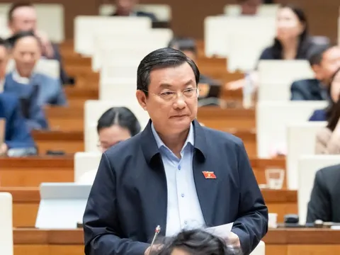 Đề nghị cấm tuyệt đối đầu tư kinh doanh bóng cười, thuốc lá điện tử, nung nóng