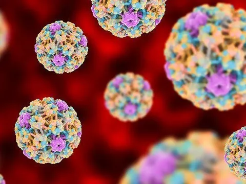 Bộ 3 bảo vệ khỏi HPV: Tiêm chủng, xét nghiệm tầm soát định kỳ và theo dõi kịp thời