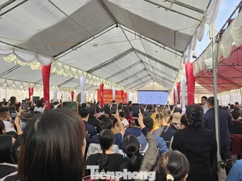 Đấu giá đất vùng quê: Giá 'bị đẩy' lên cao gấp 3 lần giá khởi điểm