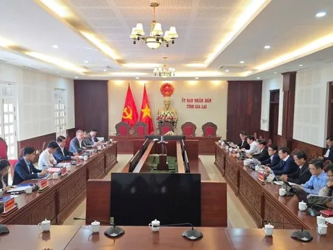 Tin vui cho Gia Lai: Liên doanh DHN muốn mở rộng dự án nông nghiệp công nghệ cao trên địa bàn