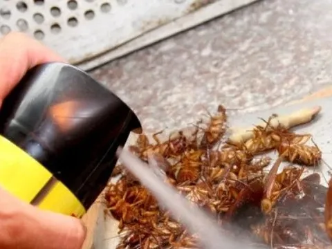 Dự kiến danh mục hóa chất không được sử dụng trong chế phẩm diệt côn trùng, diệt khuẩn