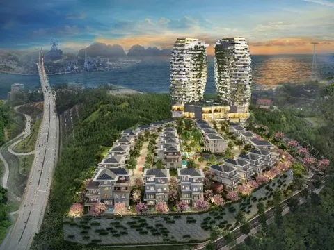 Thuận Phát và IRB Holdings: Hai thương hiệu “bảo chứng” cho chất lượng Phoenix Legend