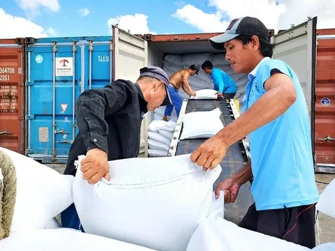 Philippines 'phanh gấp' nhập khẩu, gạo Việt chuyển hướng không ngờ