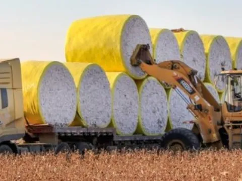 Mỹ chi hơn 16 tỷ USD mua 'mỏ vàng' thứ 3 thế giới của Việt Nam: Nước ta đã xuất sang 2/3 thế giới, 3 ông trùm thống trị toàn cầu đều đến từ châu Á