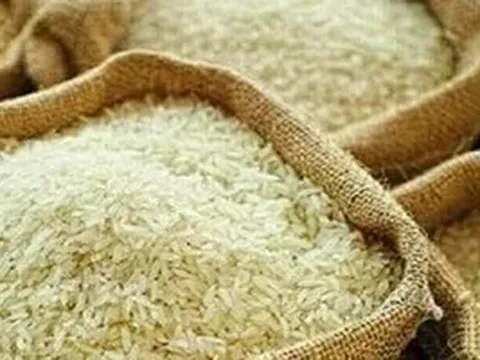 Giá gạo Thái Lan cao nhất sáu tháng