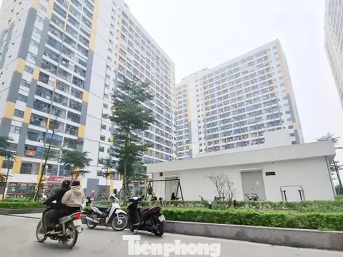 Bắc Ninh, Hải Phòng phát hiện hàng loạt sai phạm mua bán nhà ở xã hội