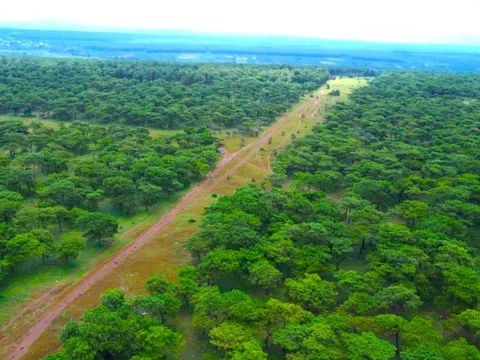 Chấp thuận chủ trương đầu tư sân golf nghìn tỷ ở Gia Lai