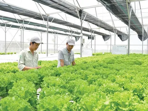 Thực phẩm Hồng Hà chi hàng chục tỷ đồng thâu tóm 2 công ty