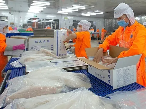 Phó Tổng Giám đốc Nam Việt muốn bán cổ phiếu