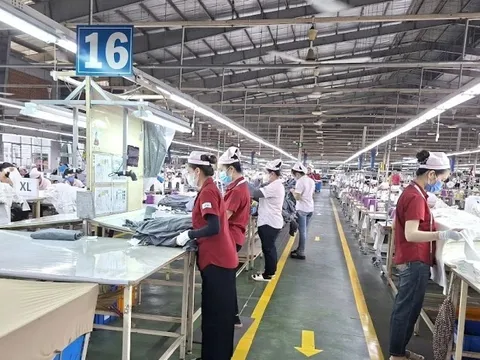 Doanh nghiệp FDI lâu đời nhất TPHCM sắp đóng cửa