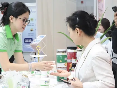 Đi làm Tết Dương lịch, lương cao nhất lên tới 490%