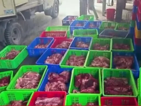 Phát hiện đường dây mua bán hơn 130 tấn thịt lợn bệnh