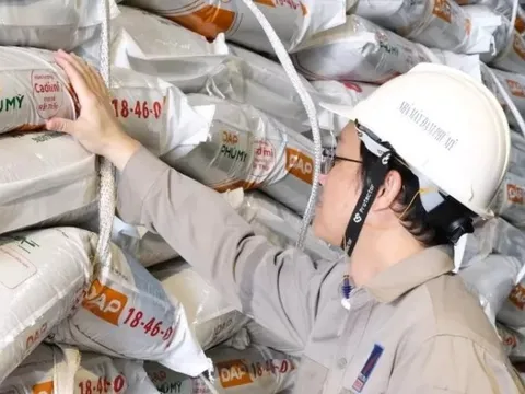 Mỗi nhân viên mang về gần hơn 900 triệu doanh thu/tháng, Đạm Phú Mỹ (DPM) toan tính gì cho năm 2026?