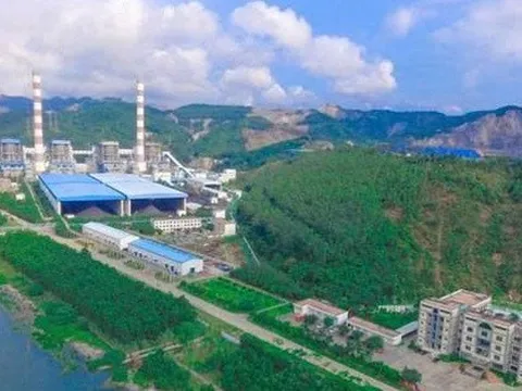 Nhiệt điện Quảng Ninh sắp chi 450 tỷ đồng tạm ứng cổ tức năm 2025