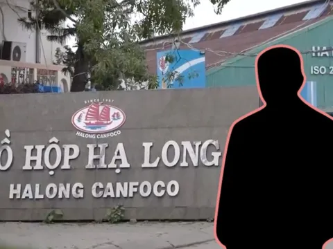 Tổng giám đốc Đồ hộp Hạ Long vừa bị bắt là ai?