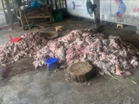 Phát hiện thịt lợn bốc mùi hôi thối sắp 'tuồn' ra thị trường