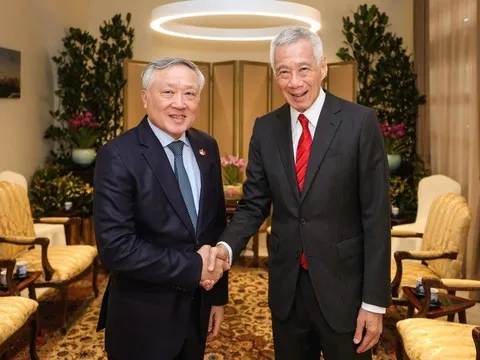 Gần 20 doanh nghiệp Singapore tề tựu, hiến kế cho Việt Nam