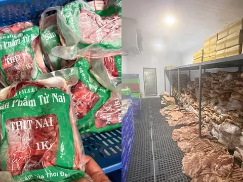 Cận cảnh kho thịt heo "đội lốt" đà điểu, dê, nai, nhím tuồn ra thị trường vừa bị triệt phá