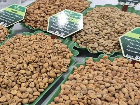 Giá cà phê hôm nay 18-1: Bầu Đức nói về giá cà phê hiện tại