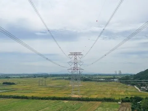 Kinh tế nhà nước và mệnh lệnh đổi mới