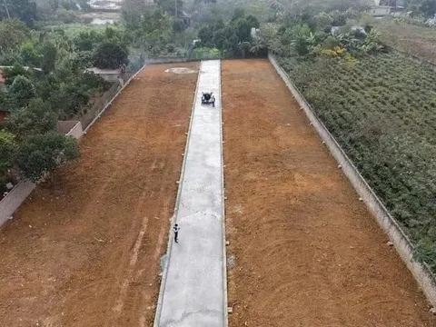 Tự ý phân lô, bán nền trên đất nông trường tại xã Phú Cát - TP. Hà Nội