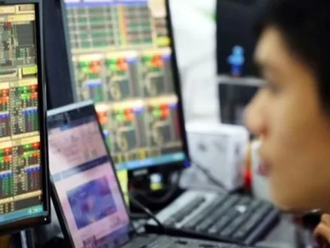 Vì sao phó Tổng giám đốc Công ty cổ phần Sông Đà 2 bị xử phạt?