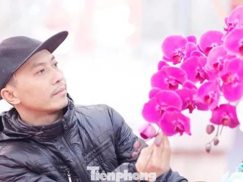 'Hái ra tiền' nghề cắm hoa Tết, cao điểm thu 4-5 triệu đồng/ngày