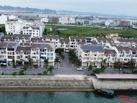 Quảng Ninh tháo gỡ vướng mắc thi hành án liên quan tới Vạn Thịnh Phát