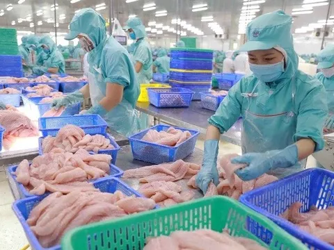 Thủy sản Việt Nam tiến sát mốc xuất khẩu kỷ lục