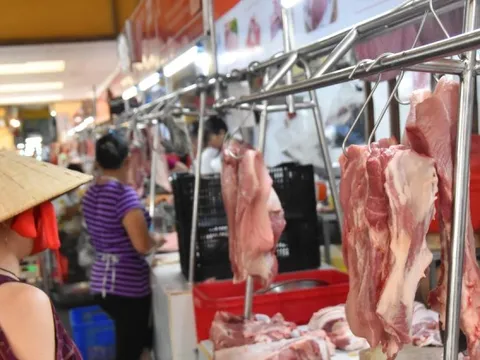 Lý do giá thịt lợn tăng mạnh