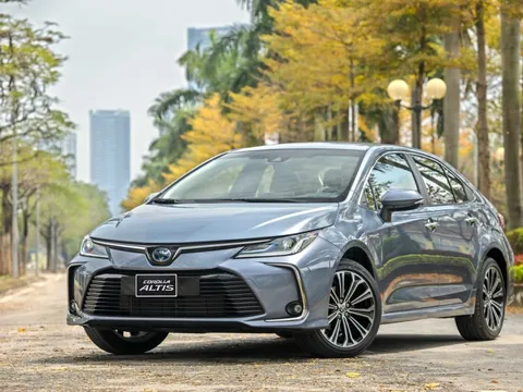 Khách Việt quay lưng với sedan: Phân khúc gầm thấp đối mặt kỷ nguyên suy thoái