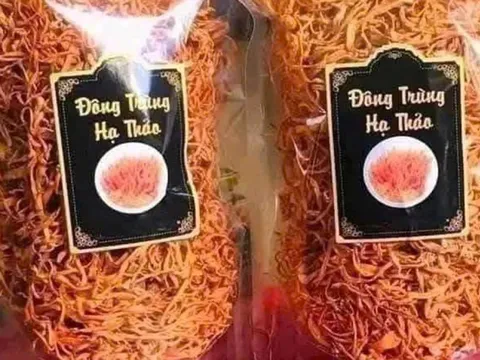 Đông trùng hạ thảo 350.000 đồng/kg: Giá rẻ bất thường, chất lượng khó kiểm soát