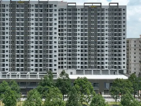 Him Lam, IDICO… thực hiện chỉ đạo “nóng” của Thủ tướng