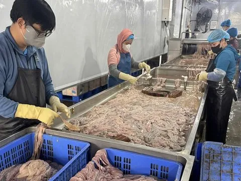 Hơn 60 tấn lòng heo hôi thối, chuyển màu nằm trong kho lạnh