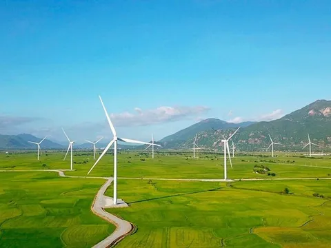 Điện Gia Lai nợ hơn 8 nghìn tỷ đồng