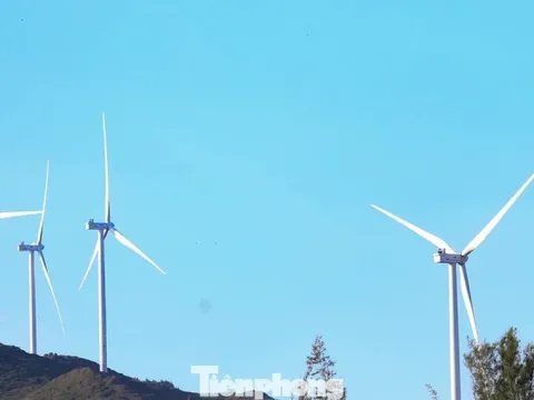 Gia Lai gọi vốn cho 12 dự án năng lượng tái tạo