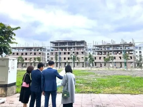 “Lá chắn vàng” của môi giới chuyên nghiệp trong năm mới Bính Ngọ