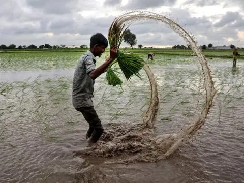 Vừa tuyên bố sẽ tự túc lương thực, quốc gia Đông Nam Á chốt đơn 1.000 tấn gạo từ Mỹ, sẽ được miễn thuế với 172 mặt hàng