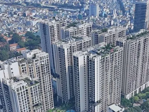 Vì sao nhu cầu tăng cao nhưng giá nhà cho thuê lại giảm?