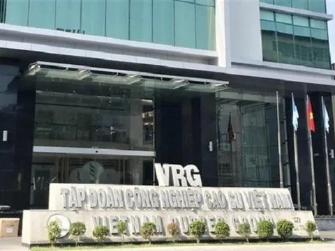 Thanh tra Chính phủ chỉ ra nhiều vi phạm tại Tập đoàn Công nghiệp Cao su Việt Nam