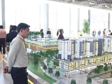 Gỡ vướng cấp mã định danh bất động sản