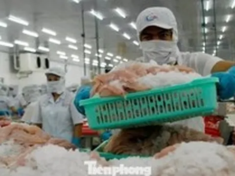 Một số doanh nghiệp thủy sản tạm dừng xuất khẩu Trung Đông