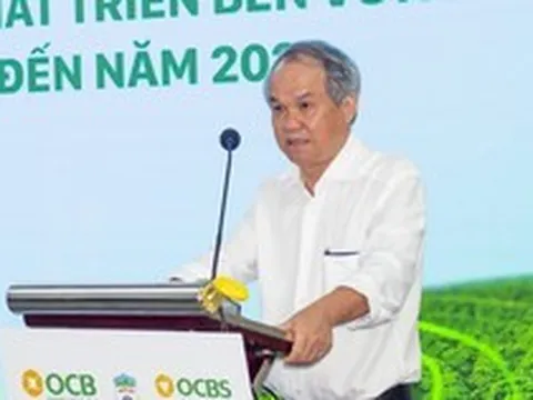 Bầu Đức muốn xây nhà máy 1.000 tỷ đồng biến rác nông nghiệp thành 'cỗ máy in tiền' 133 triệu USD