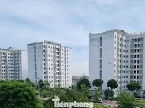 Đà Nẵng dự kiến cho thuê nhà ở xã hội thấp nhất gần 54.000 đồng/m²/tháng