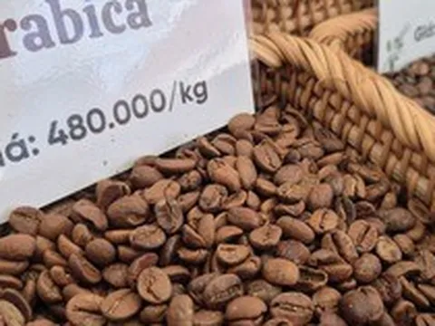 Giá cà phê hôm nay 25-3: Arabica tăng nóng, vượt 7.000 USD/tấn